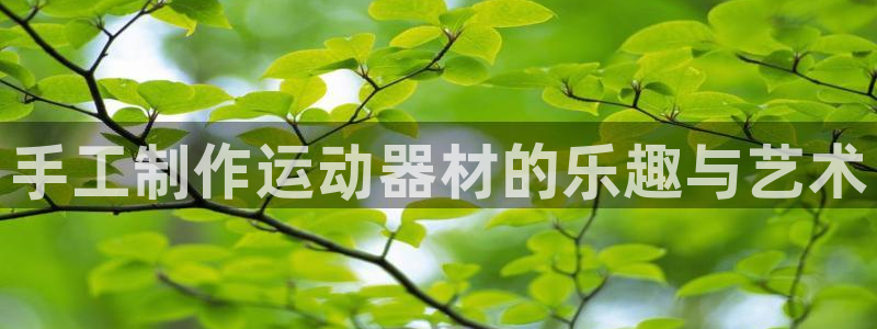 zoty中欧体育官网下载招商电话号码查询是多少：手工制作运动