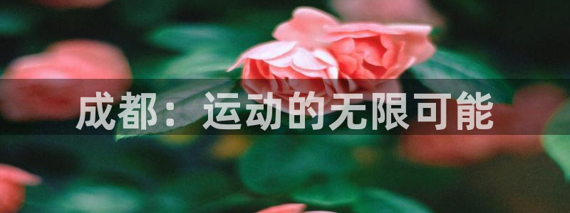 海南zoty中欧体育官网下载：成都：运动的无限可能