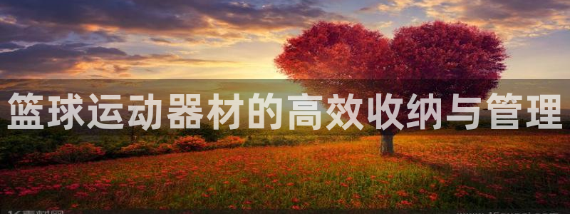 zoty中欧体育官方正版app娱乐网站：篮球运动器材的高效收