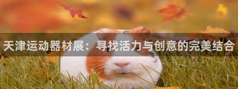 zoty中欧体育官网下载联系电话：天津运动器材展：寻