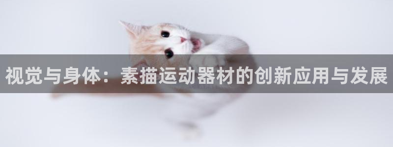 zoty中欧体育官方正版app娱乐40996：视觉与