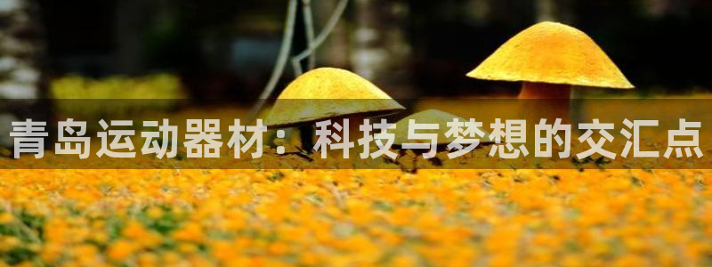 zoty中欧官方平台体育：青岛运动器材：科技与梦想的