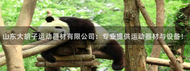 zoty中欧体育官网下载注册：山东大胡子运动器材有限