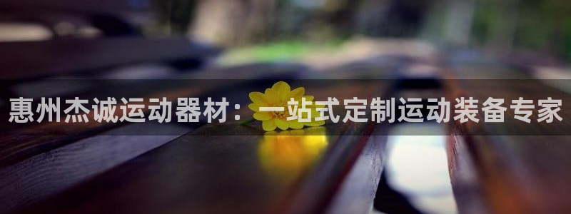 德国zoty中欧体育官方正版app集团：惠州杰诚运动器材：一