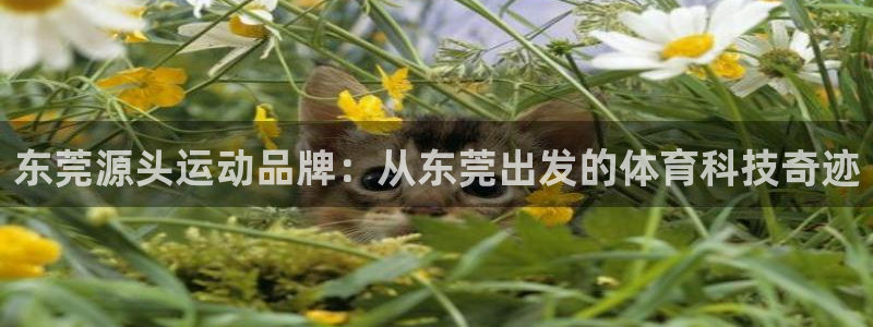 zoty中欧体育官网下载注册：东莞源头运动品牌：从东莞出发的