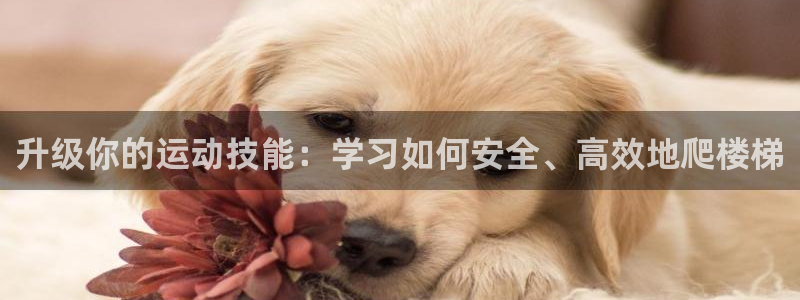 zoty中欧体育官方正版app娱乐：升级你的运动技能