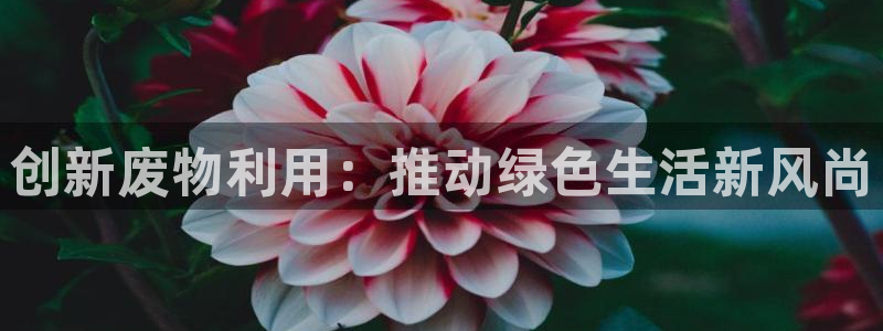 zoty中欧体育官方正版app集团logo：创新废物利用：推